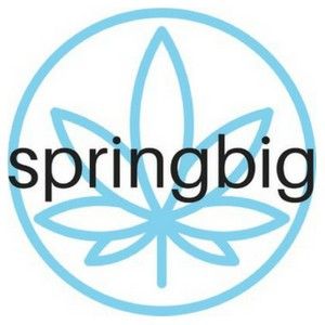 springbig