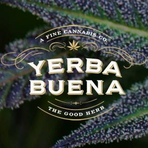 Yerba Buena